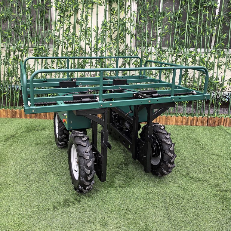 where to buy China best price remote controlled terrain work transporter